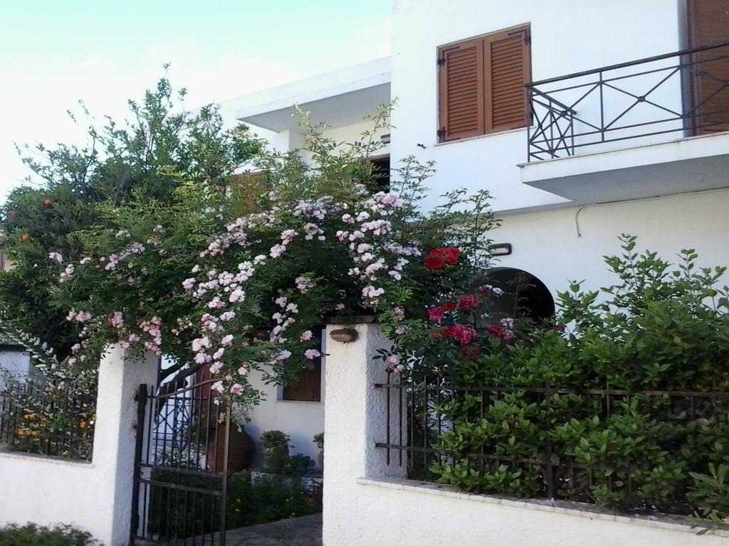 Karagiozos Studios & Apartments Skopelos Town Bagian luar foto