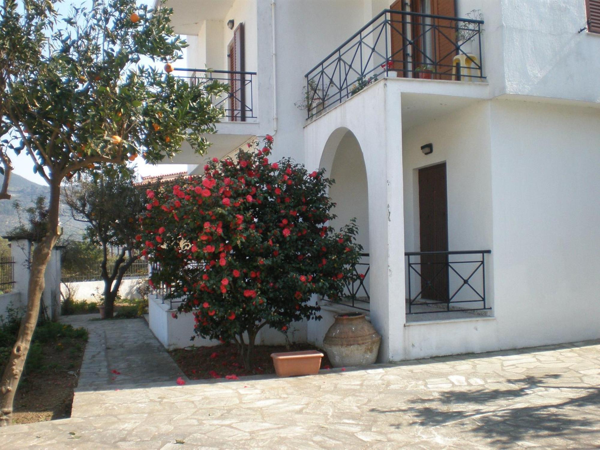 Karagiozos Studios & Apartments Skopelos Town Bagian luar foto