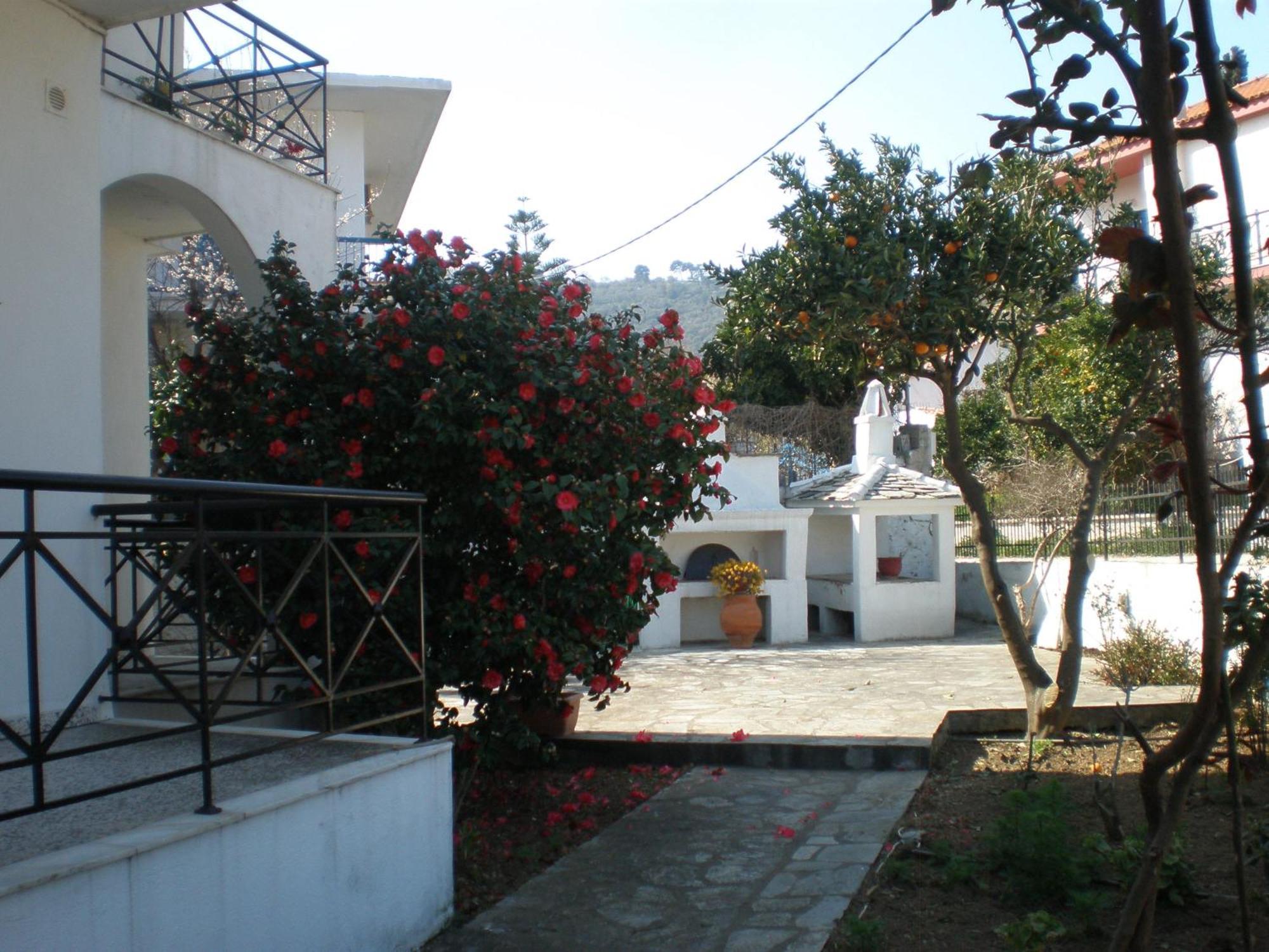Karagiozos Studios & Apartments Skopelos Town Bagian luar foto