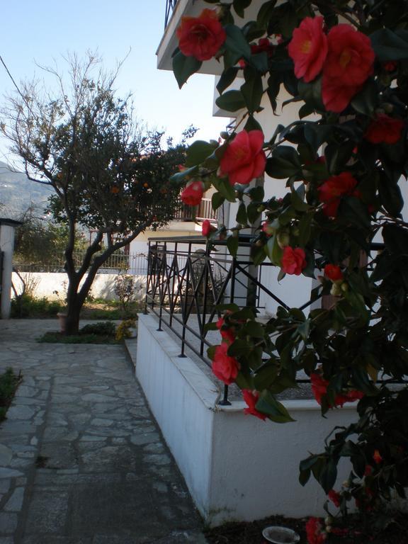 Karagiozos Studios & Apartments Skopelos Town Ruang foto